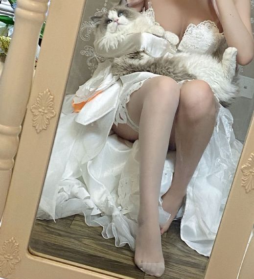 纸牌屋第一季在线观看免费高清