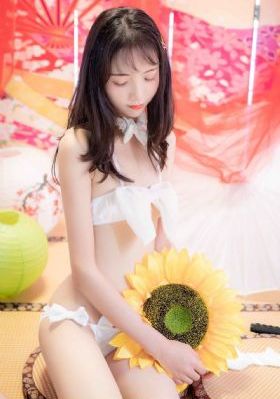 半是蜜糖半是伤电视剧免费完整版